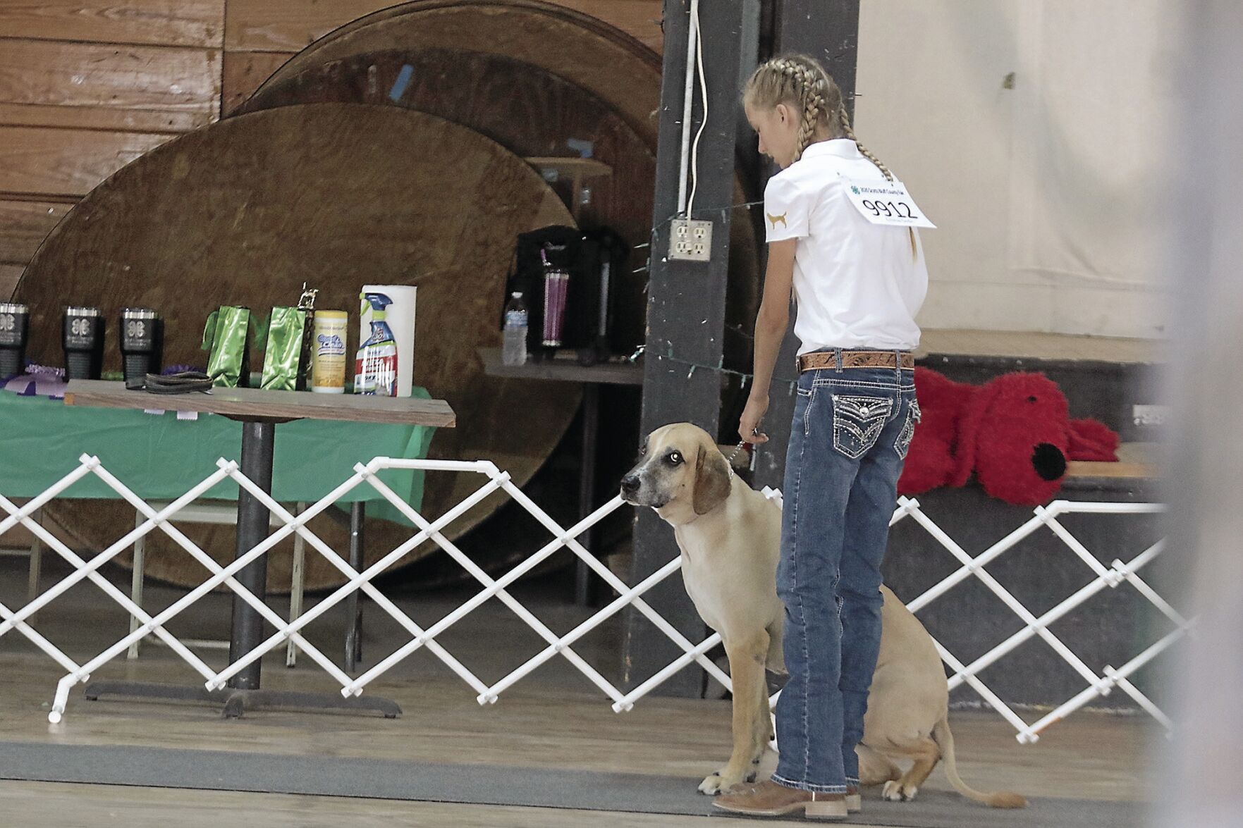 PHOTOS: Scotts Bluff County Fair Dog Show 2020